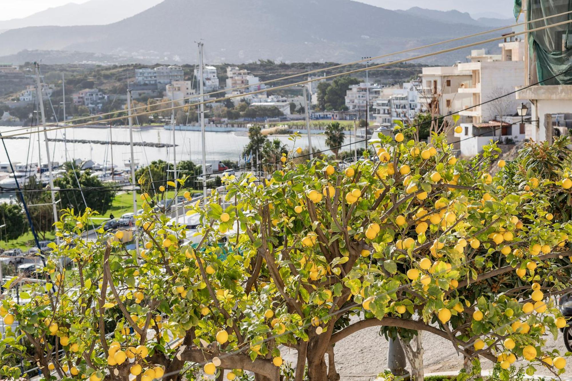 Jelena Apartments By The Sea Agios Nikolaos Extérieur photo